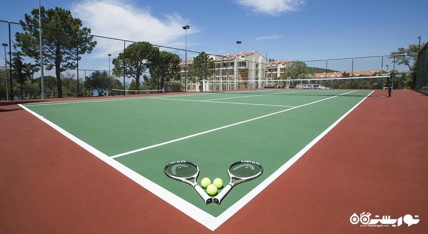 نمای زمین اختصاصی هتل